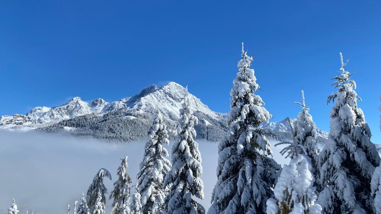 Chalet Kleinbergsonne Filzmoos Exteriör bild