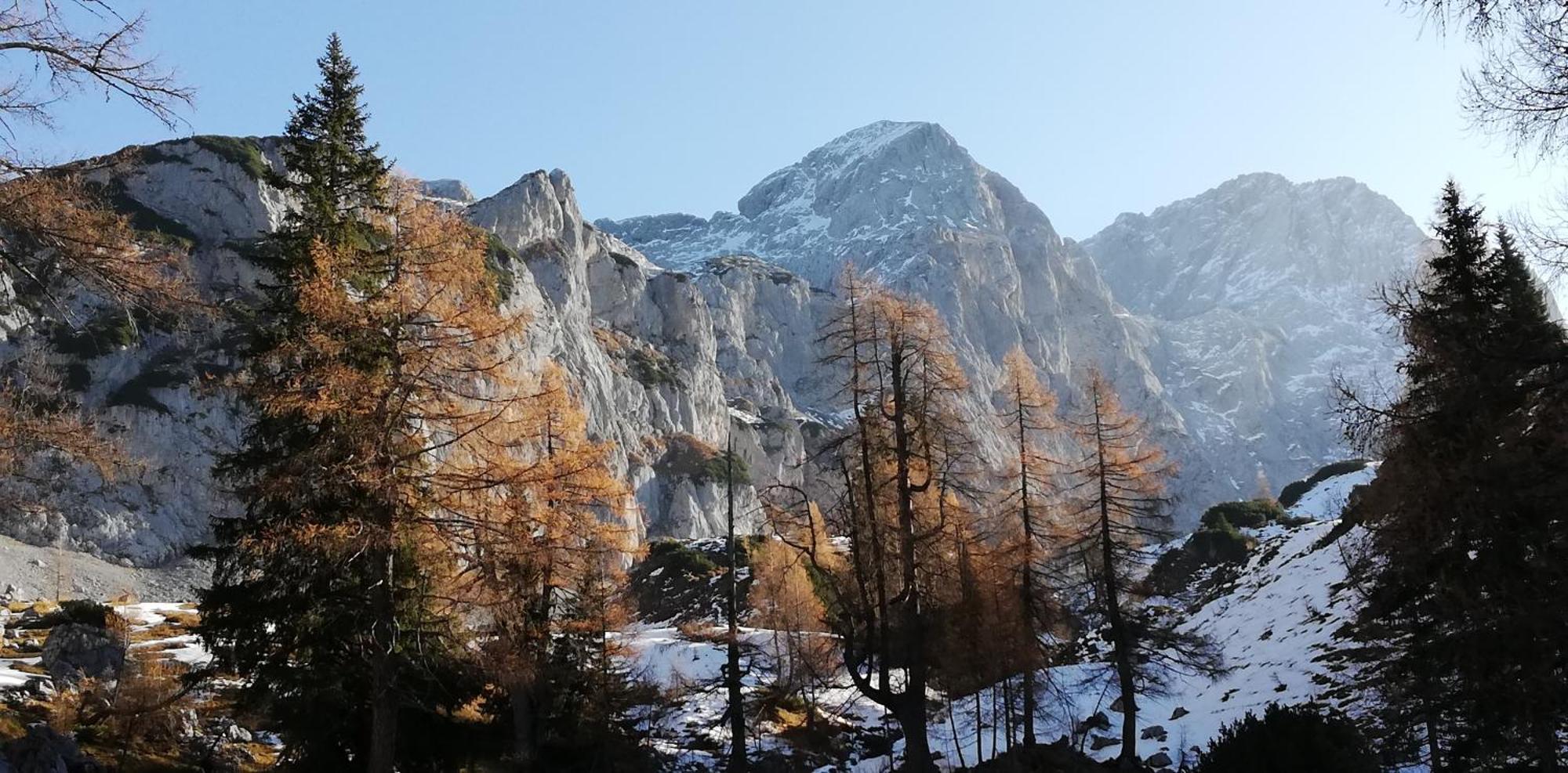 Chalet Kleinbergsonne Filzmoos Exteriör bild