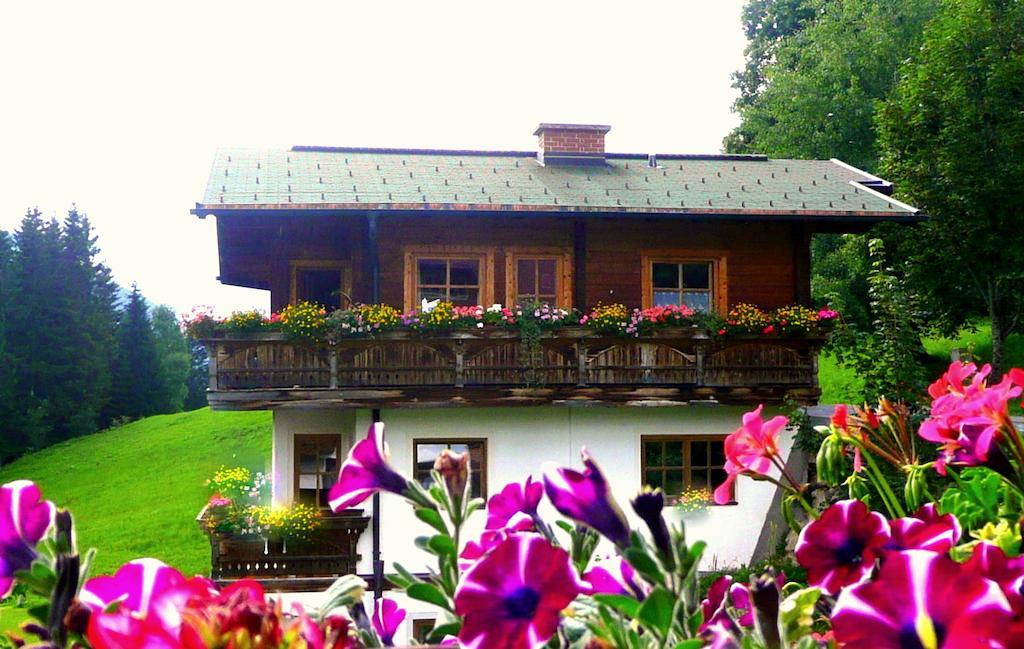 Chalet Kleinbergsonne Filzmoos Exteriör bild